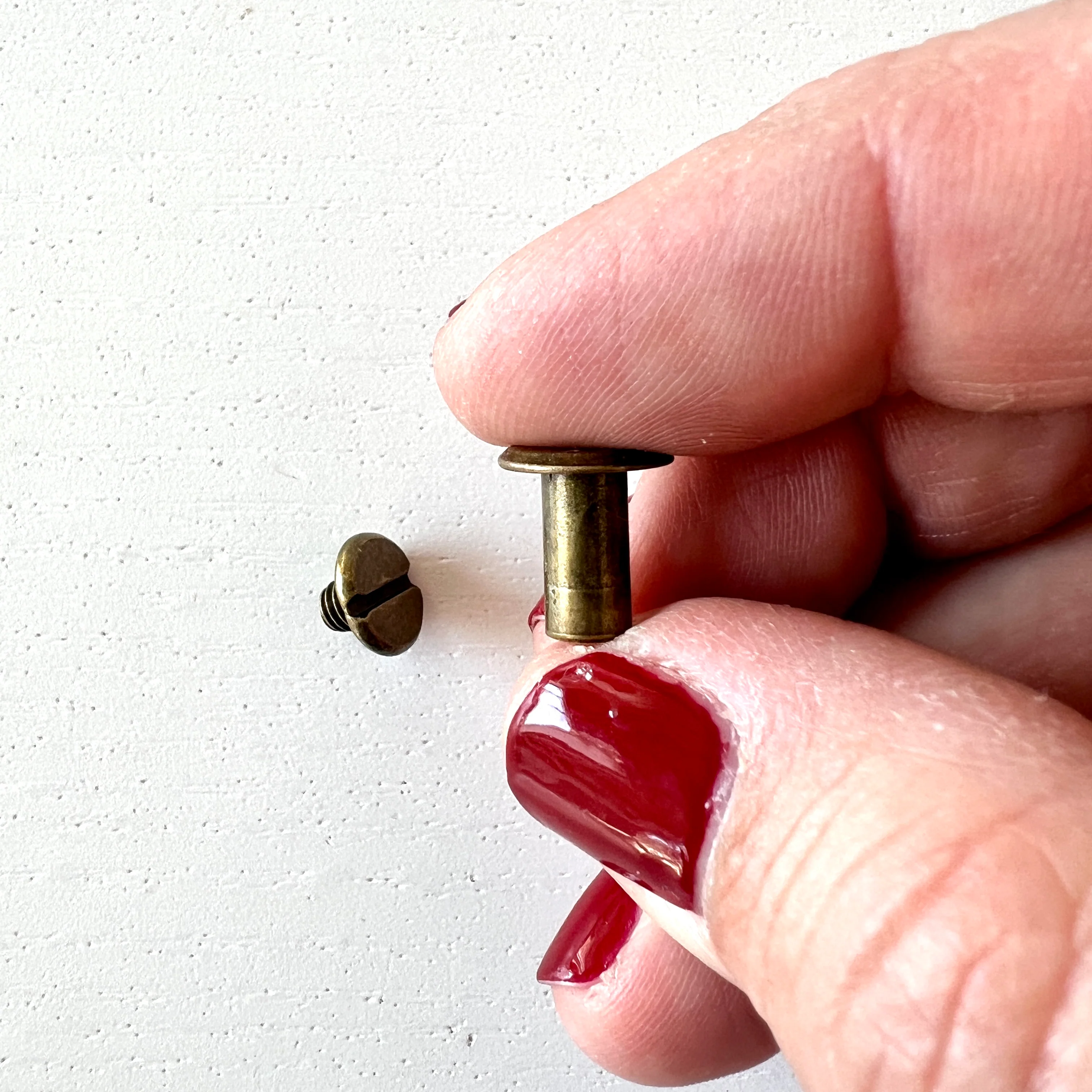 Chicago Bolts and Screws in Antique Brass - Image 3
